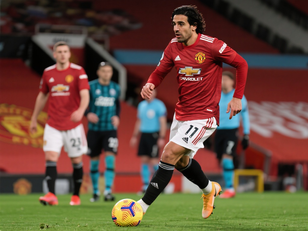 完美填补奥 完美填补奥